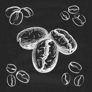 Silhouette hand drawn coffee beans