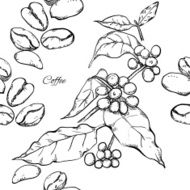Berries leaves shoots and grains of coffee