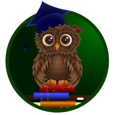 Smart owl sitting on books