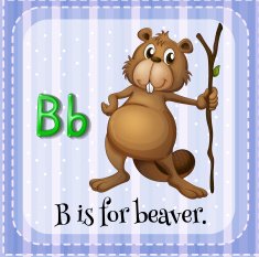 Beaver N2