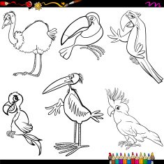 birds cartoon coloring page N2