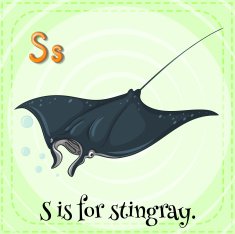 Stingray N2
