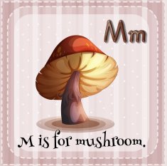 Mushroom N3
