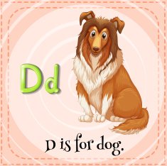 Flashcard D N2