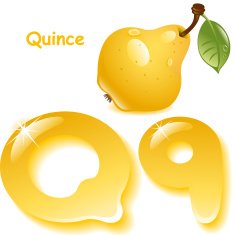 Letter Q N11