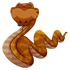 Snake N5