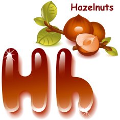 Letter H N11