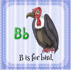 Letter B N28