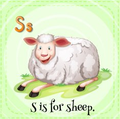 letter s N17