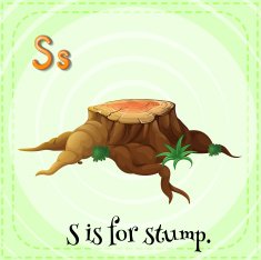 letter s N21