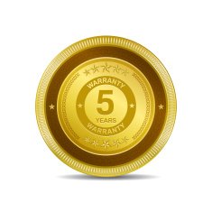 5 Years Warranty Golden Vector Icon Button N2