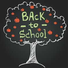 Back To School N550