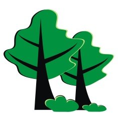 Forest N4