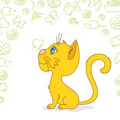Ginger cat is waiting