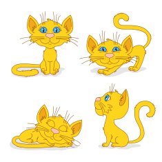 Ginger cats in different poses