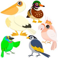 five colorful cute birds N7