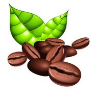 Coffee beans and leaves
