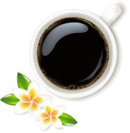 Cup Of Coffee Vector Illustration With Frangipani