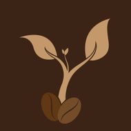 Coffee tree N5