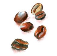 fresh coffee beans on white background