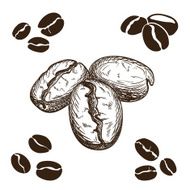 coffee beans N28