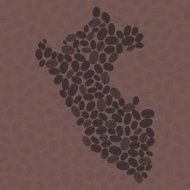 Peru map made of roasted coffee beans Vector illustration N2