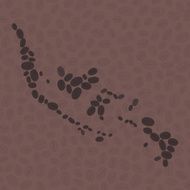 Indonesia map made of roasted coffee beans Vector illustration N2