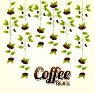 coffee design N333