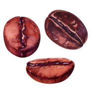 coffee beans N30