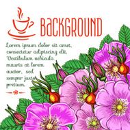 tea background