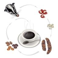 Smoking Hot with Civet Coffee Beans