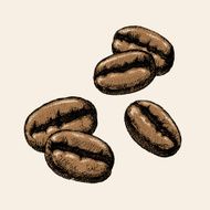 Hand Drawn Coffee Beans N2