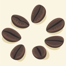 Coffee Beans in a Circle