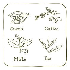 Various herbals - coffee mate cacao and tea
