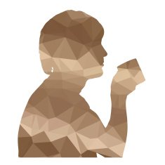 Silhouette N6