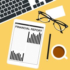 Financial report N8
