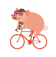 Pig hipster style