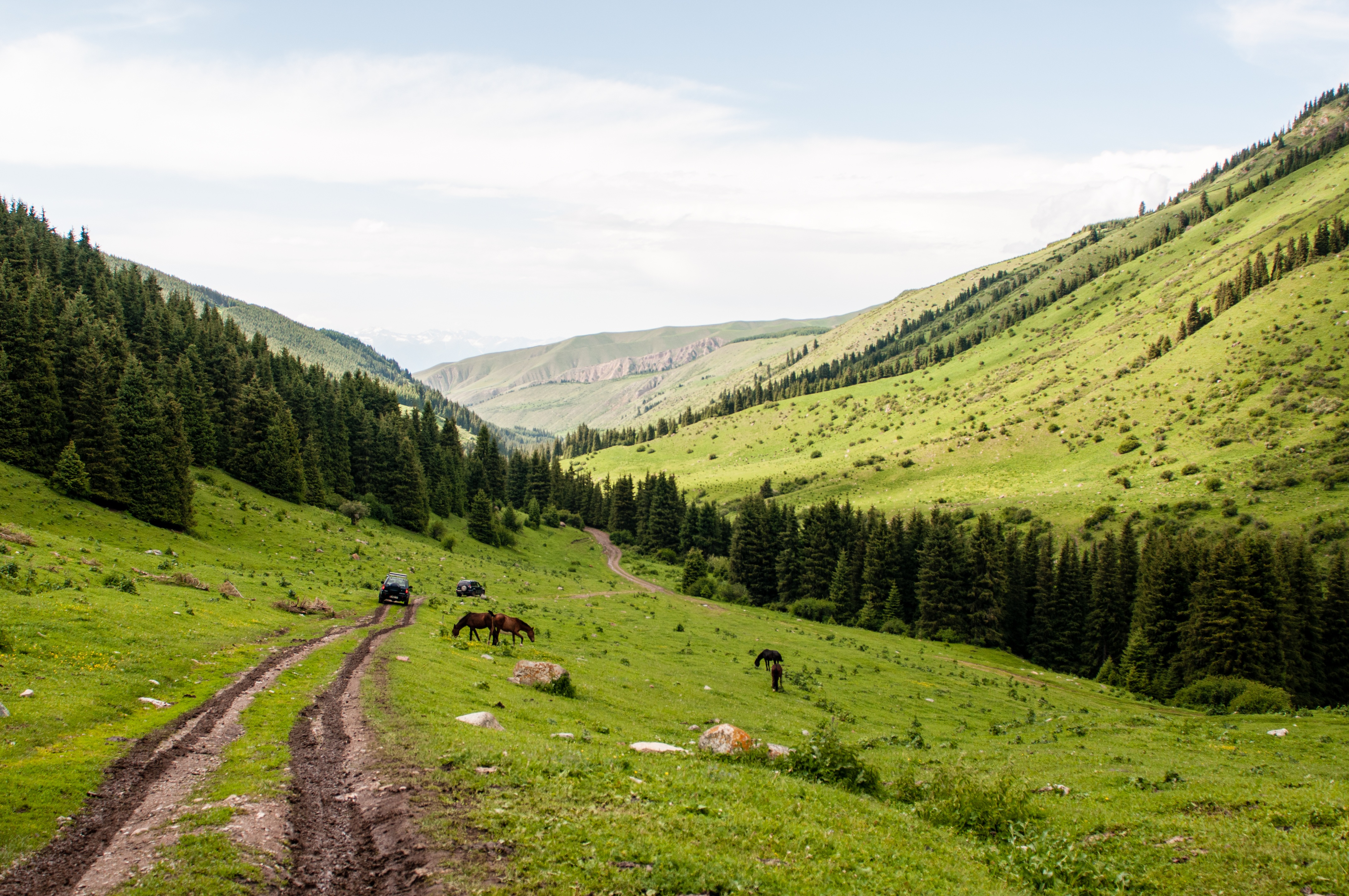 Horse Trekking Kyrgyz