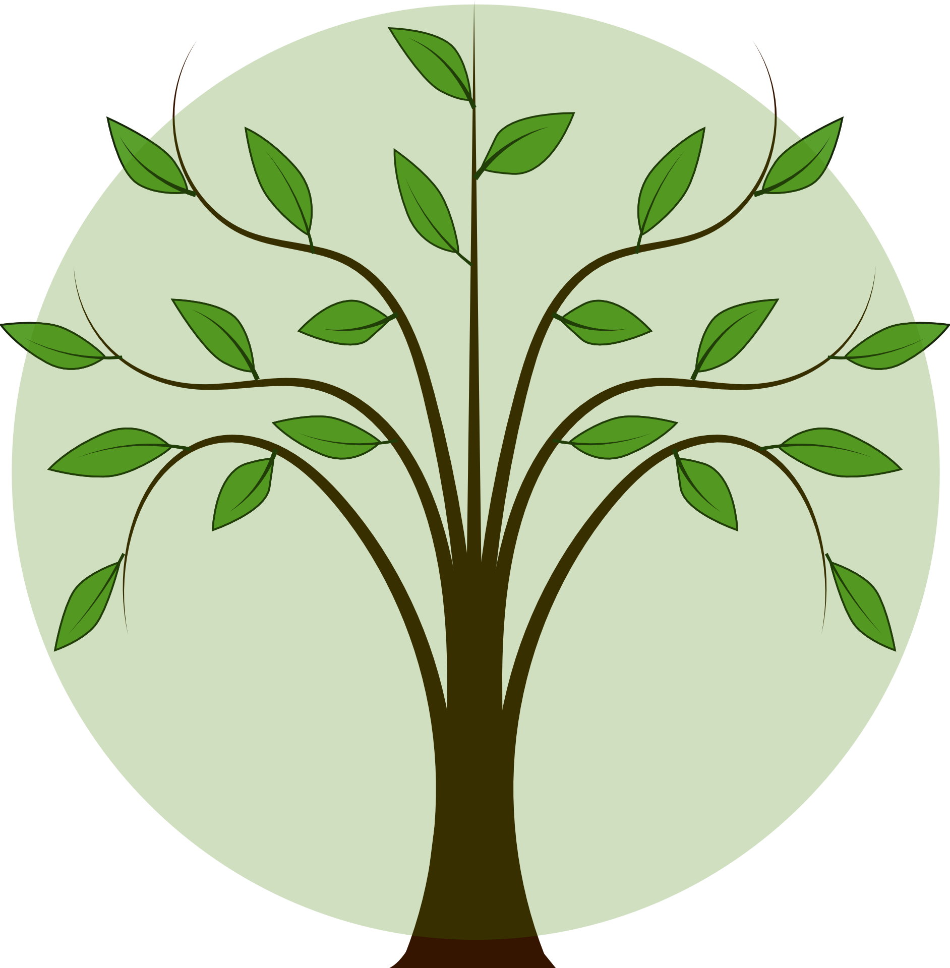 clipart-picture-of-tree-free-image-download