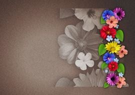 collage of colorful flowers
