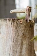 metal ax in a log