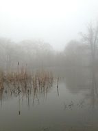 Landscape with the mist on the lake