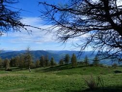 green fringe of the Alps