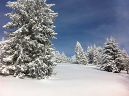 winter magic in the mountains of alsace