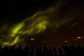 northern lights over trees at night