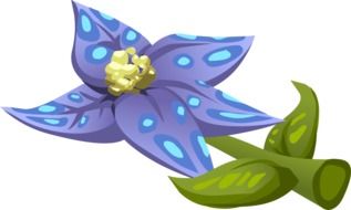 purple spotted flower, drawing