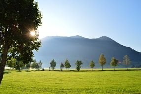 Sunrise over alpine meadow, germany, allgÃ¤u