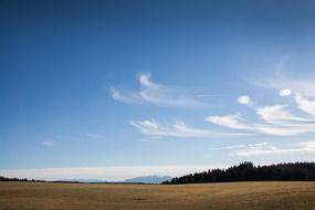 Field in the background of the Alpine landscape