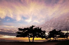 west coast of the Republic of Korea at sunset