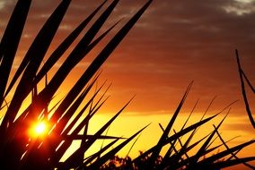 orange sunset in reunion island
